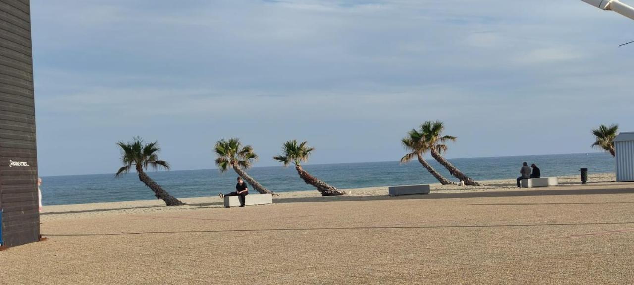 Studio De 23 M2 Avec Jardinet 400M De La Plage Le Barcarès Exterior foto